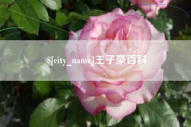 沈阳王子豪百科
