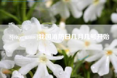 沈阳我国消防日几月几号开始