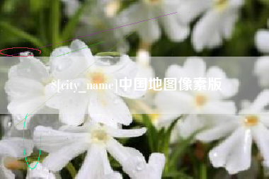 沈阳中国地图像素版