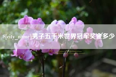 沈阳男子五千米世界冠军奖金多少