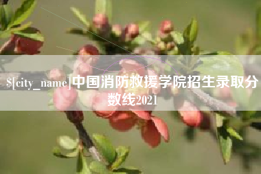 沈阳中国消防救援学院招生录取分数线2021