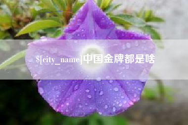沈阳中国金牌都是啥
