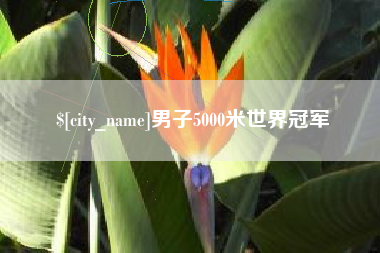 沈阳男子5000米世界冠军
