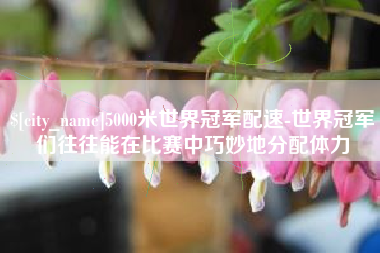 沈阳5000米世界冠军配速-世界冠军们往往能在比赛中巧妙地分配体力
