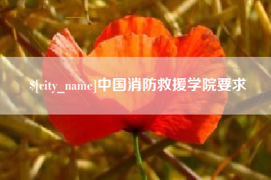 沈阳中国消防救援学院要求
