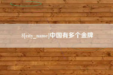 沈阳中国有多个金牌