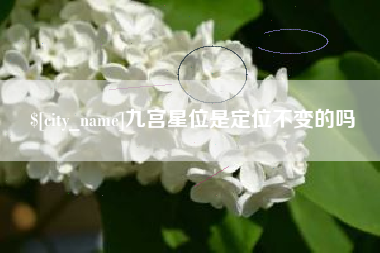 沈阳九宫星位是定位不变的吗