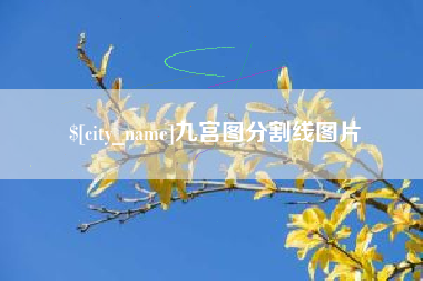 沈阳九宫图分割线图片
