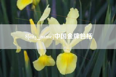 沈阳中国金牌包括