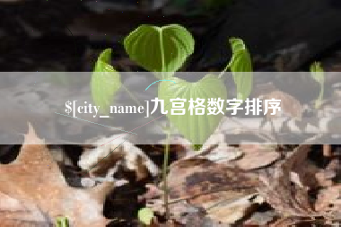 沈阳九宫格数字排序