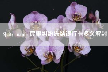 沈阳民事纠纷冻结银行卡多久解封