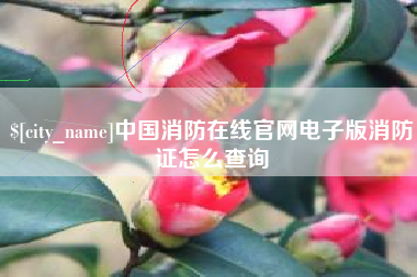 沈阳中国消防在线官网电子版消防证怎么查询