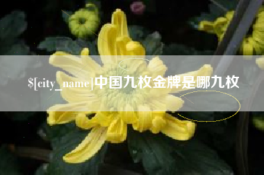 沈阳中国九枚金牌是哪九枚