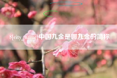 沈阳中国九金是哪九金的简称