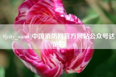 沈阳中国消防网官方网站公众号达伦特