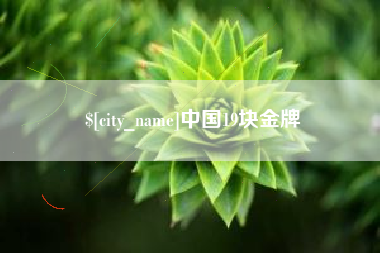 沈阳中国19块金牌