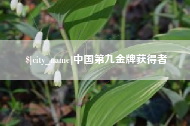 沈阳中国第九金牌获得者