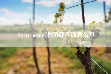 沈阳消防证查询怎么查