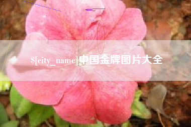沈阳中国金牌图片大全
