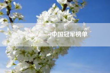 沈阳中国冠军榜单