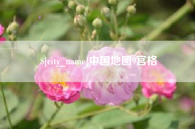 沈阳中国地图9宫格
