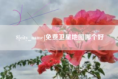 沈阳免费卫星地图哪个好