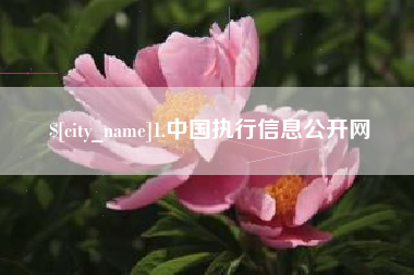 沈阳1.中国执行信息公开网