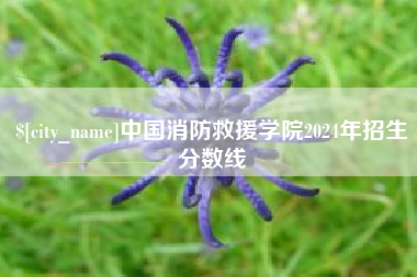 沈阳中国消防救援学院2024年招生分数线