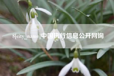 沈阳中国执行信息公开网询