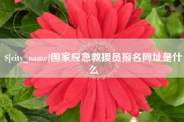 沈阳国家应急救援员报名网址是什么