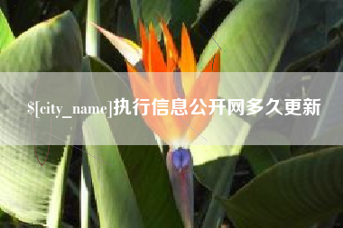 沈阳执行信息公开网多久更新