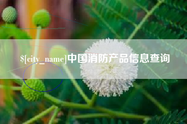 沈阳中国消防产品信息查询