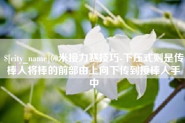 沈阳60米接力赛技巧-下压式则是传棒人将棒的前部由上向下传到接棒人手中