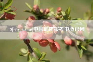 沈阳中国消防报考中心官网