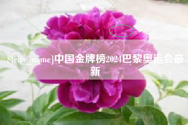 沈阳中国金牌榜2024巴黎奥运会最新