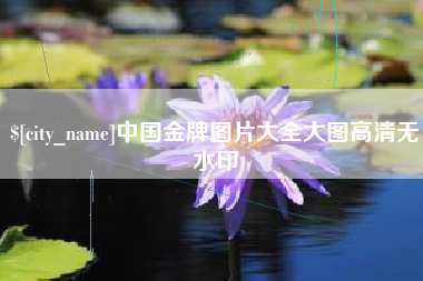 沈阳中国金牌图片大全大图高清无水印