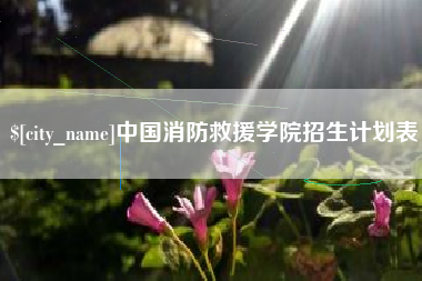 沈阳中国消防救援学院招生计划表