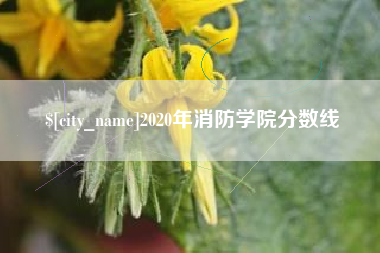 沈阳2020年消防学院分数线