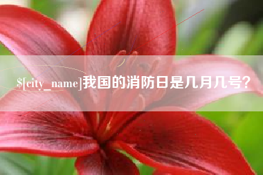 沈阳我国的消防日是几月几号？