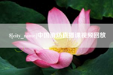 沈阳中国消防直播课视频回放
