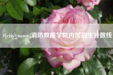 沈阳消防救援学院内部招生分数线