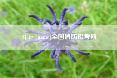 沈阳全国消防招考网