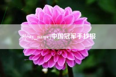 沈阳中国冠军手抄报