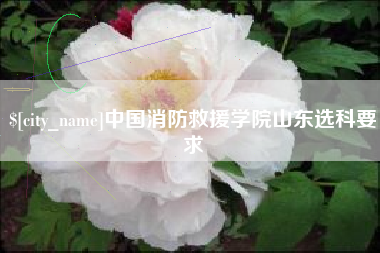 沈阳中国消防救援学院山东选科要求