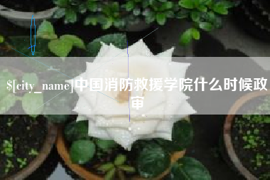 沈阳中国消防救援学院什么时候政审
