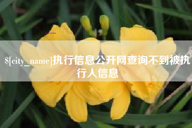 沈阳执行信息公开网查询不到被执行人信息