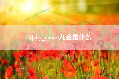 沈阳九金是什么