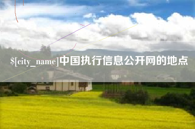 沈阳中国执行信息公开网的地点
