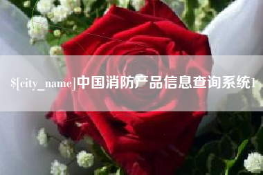 沈阳中国消防产品信息查询系统1