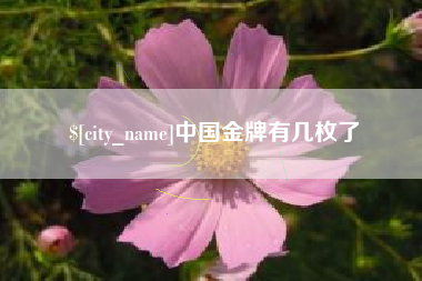 沈阳中国金牌有几枚了
